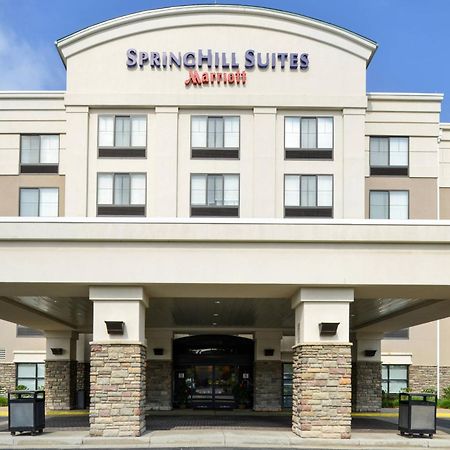 Springhill Suites Pittsburgh Mills Tarentum Extérieur photo