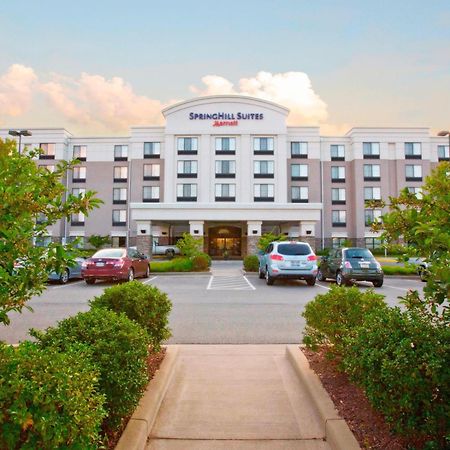 Springhill Suites Pittsburgh Mills Tarentum Extérieur photo