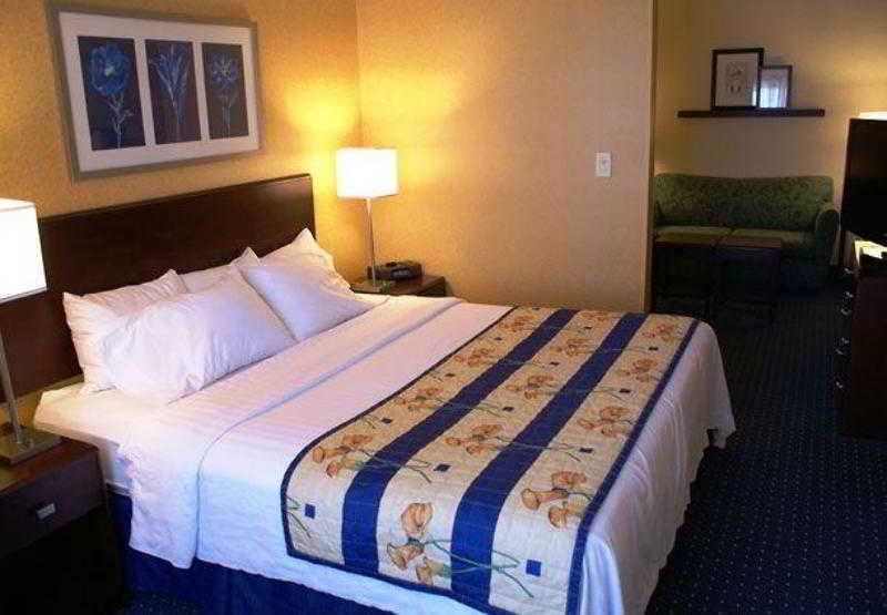 Springhill Suites Pittsburgh Mills Tarentum Chambre photo